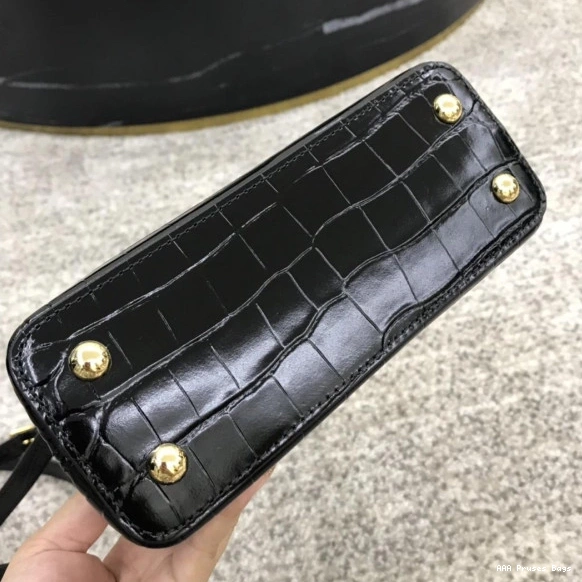 AAA Pruses Bags LOUIS CAPUCINES VUITTON MINI 0820